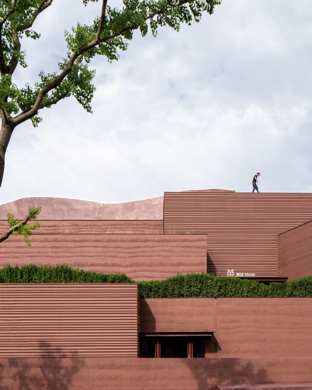 goa作品 | 大地艺术剧场，为飞鸟和人建造