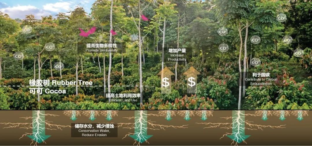 SOM 开放空间设计系列(二):何时?巨变下的多尺度开放空间实践探索