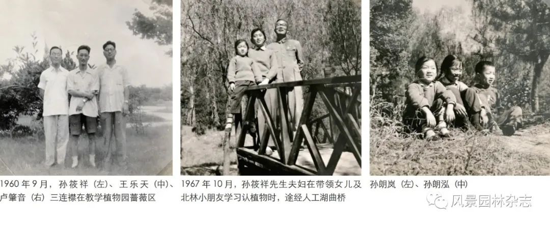 LA专题 | 朱成珞 孙朗岚 | 孙筱祥先生对当代公园和植物园建设发展的开创性、前瞻性贡献及深远国际影响（上篇）