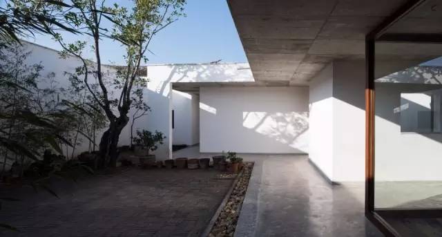 赵扬建筑工作室，竹庵，WA中国建筑奖，妹岛和世