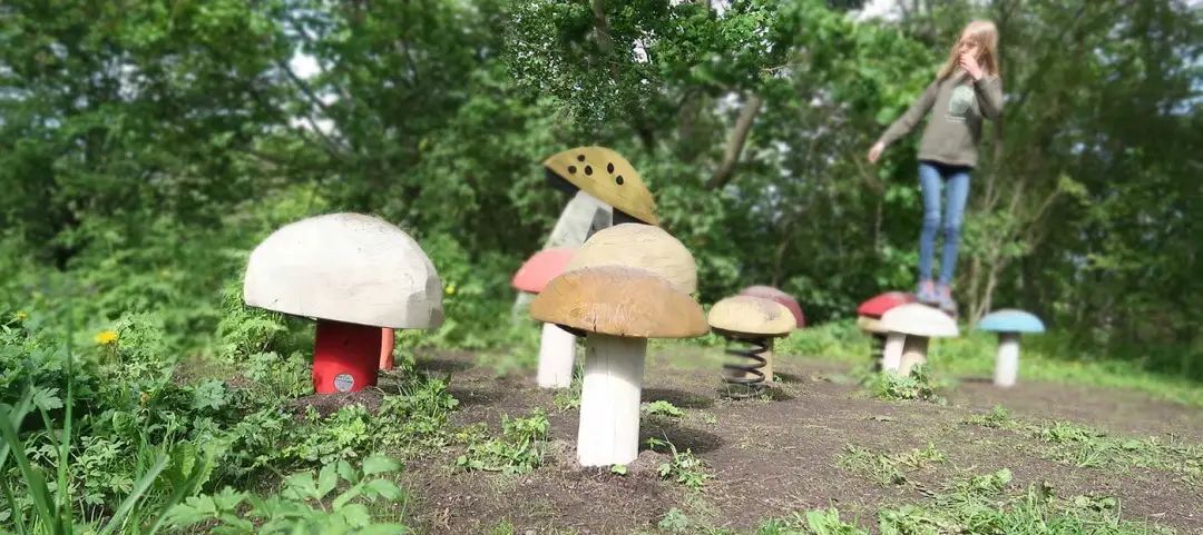 LA专集 | 万木葱翠,十里森境——森林公园规划设计探索