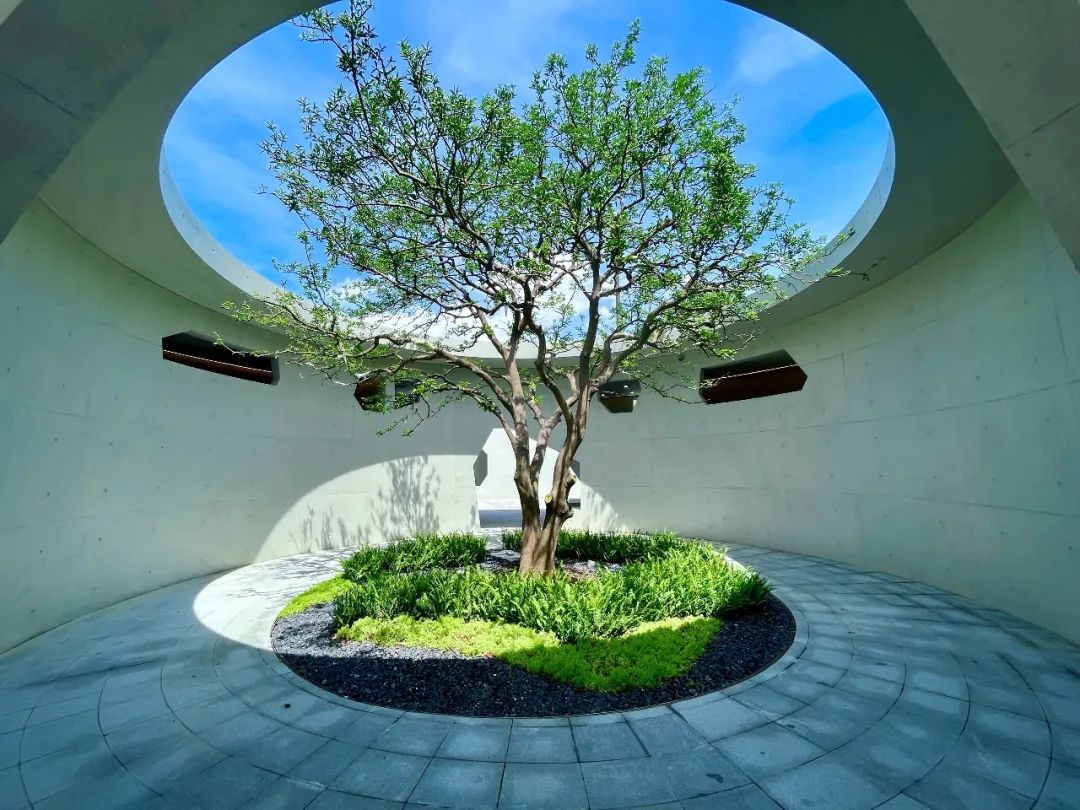 精准协助区级政府整体提升城市公共空间品质 | 蕾奥景观 | LA理事风采
