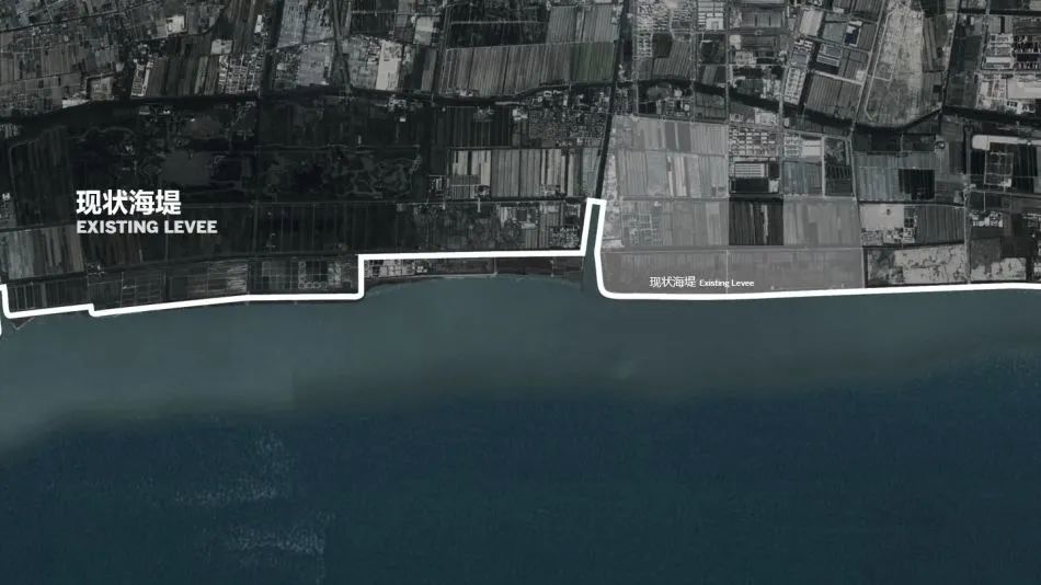 SOM 开放空间设计系列(二):何时?巨变下的多尺度开放空间实践探索