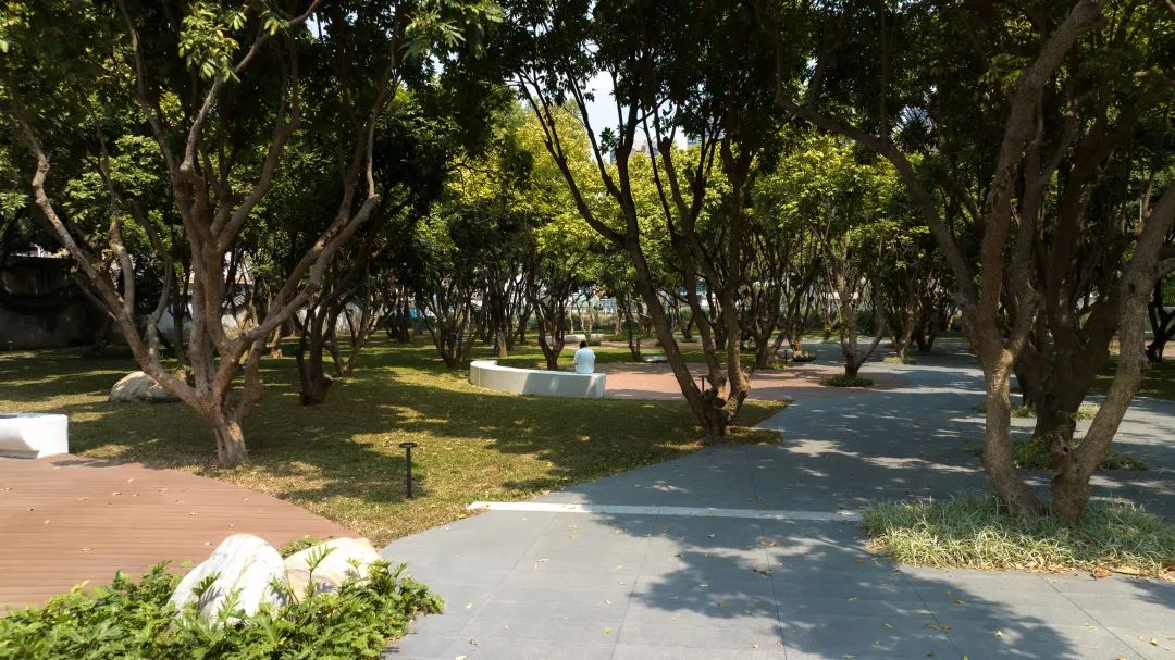 龙园焕活，城水共兴 - 龙岗河干流碧道示范段 龙园水岸 | LA理事风采