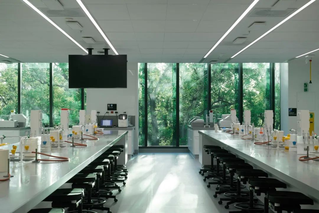 持续进化的研发设施&thinsp;&mdash;&thinsp;未来展望