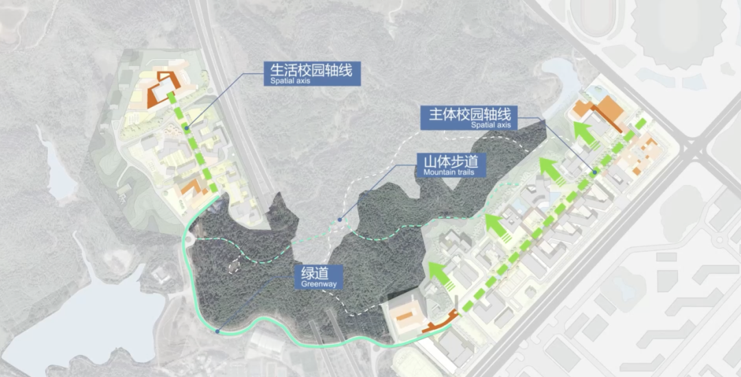 香港中文大学（深圳）二期丨山水林间，在地生长
