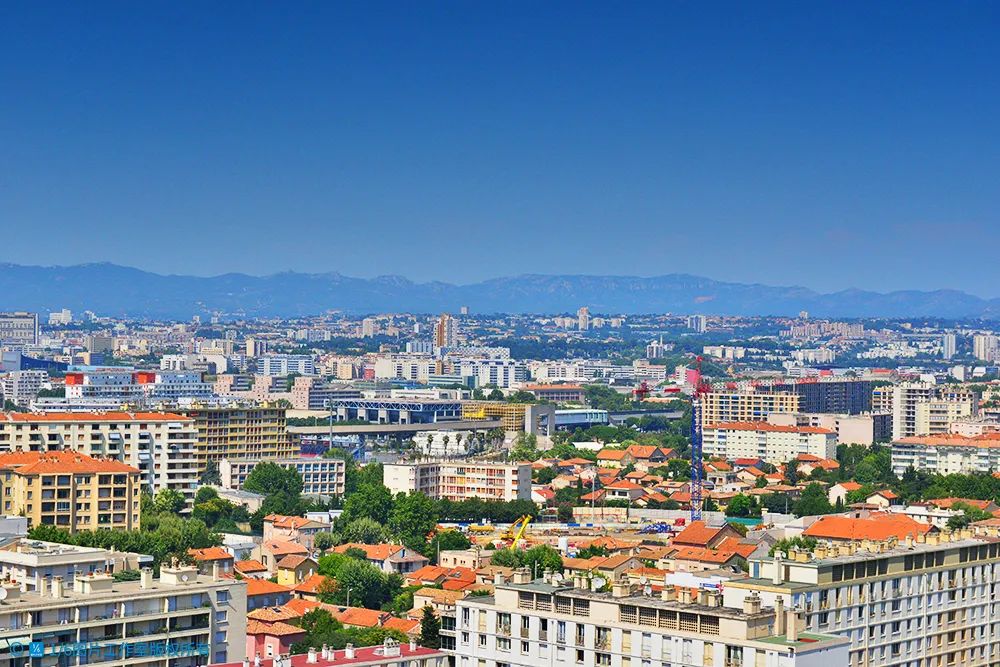 李忠：培训工作主要解决的是应然和实然问题