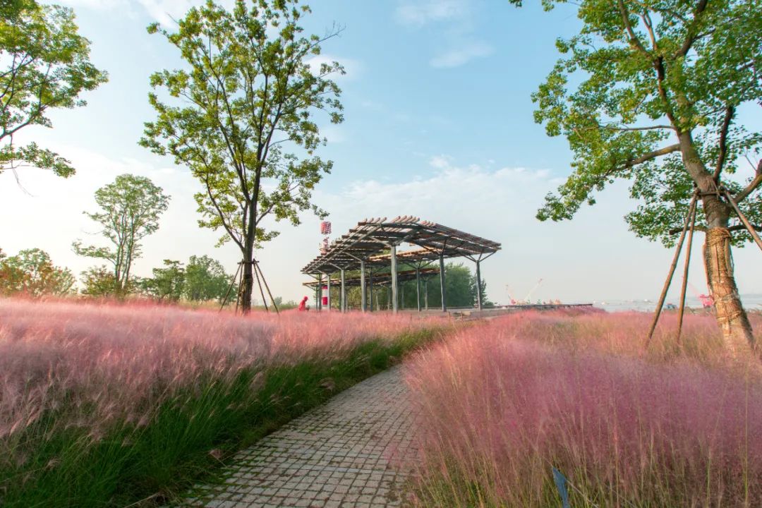 建筑与城市共兴：马清运、马岩松、gmp、AECOM，一笔一画，写意城市