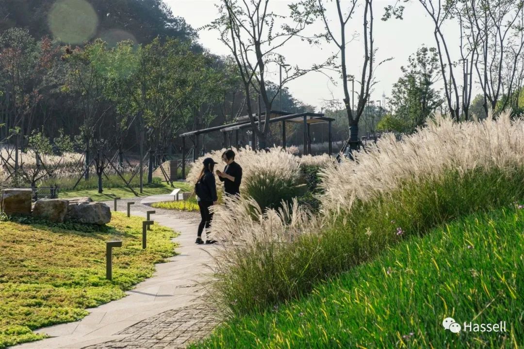 自然带给场地的新惊喜 —— 新自然主义的植物设计和基于生态的植物景观
