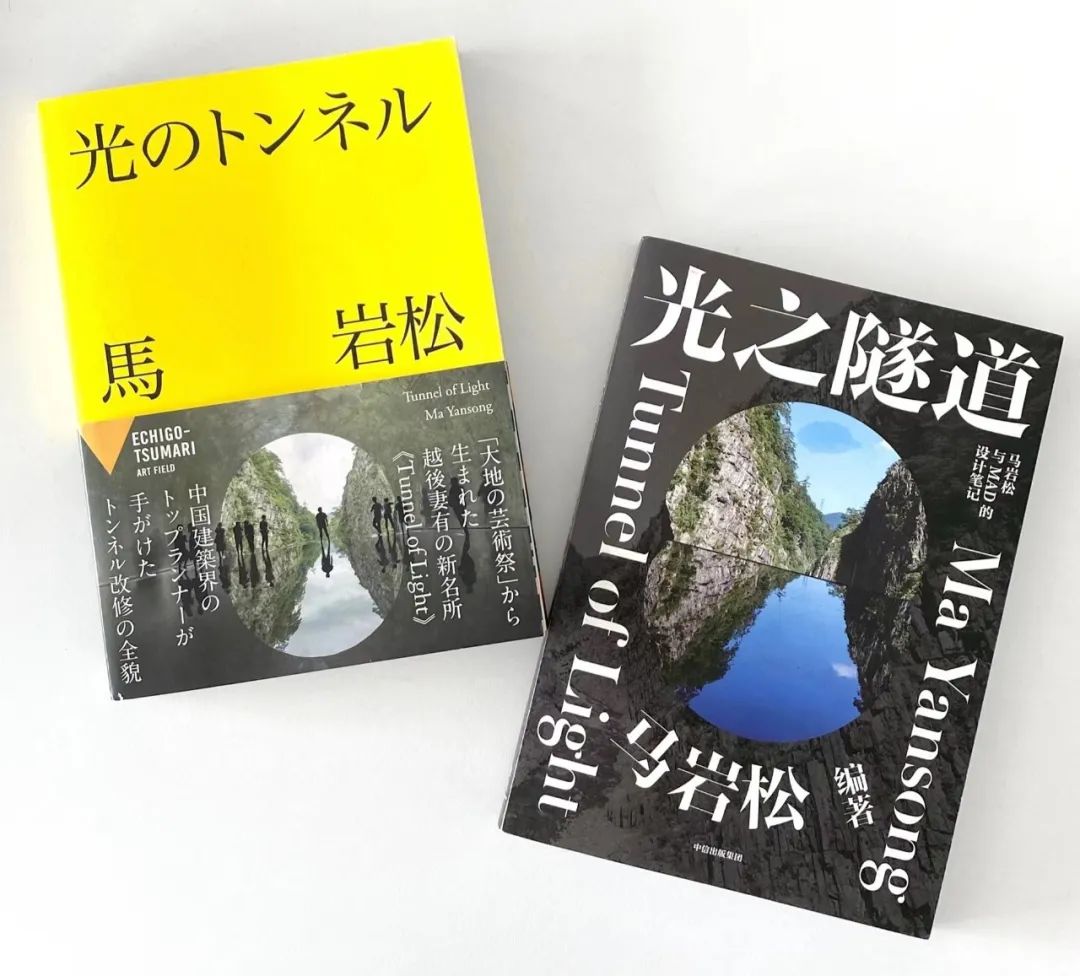 马岩松MAD新作“野泡泡” | 日本越后妻有大地艺术节