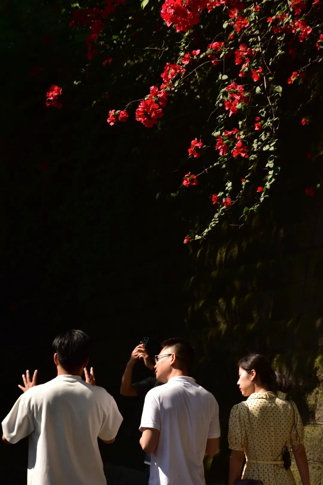 大院建筑师：老工业城区的理性与浪漫