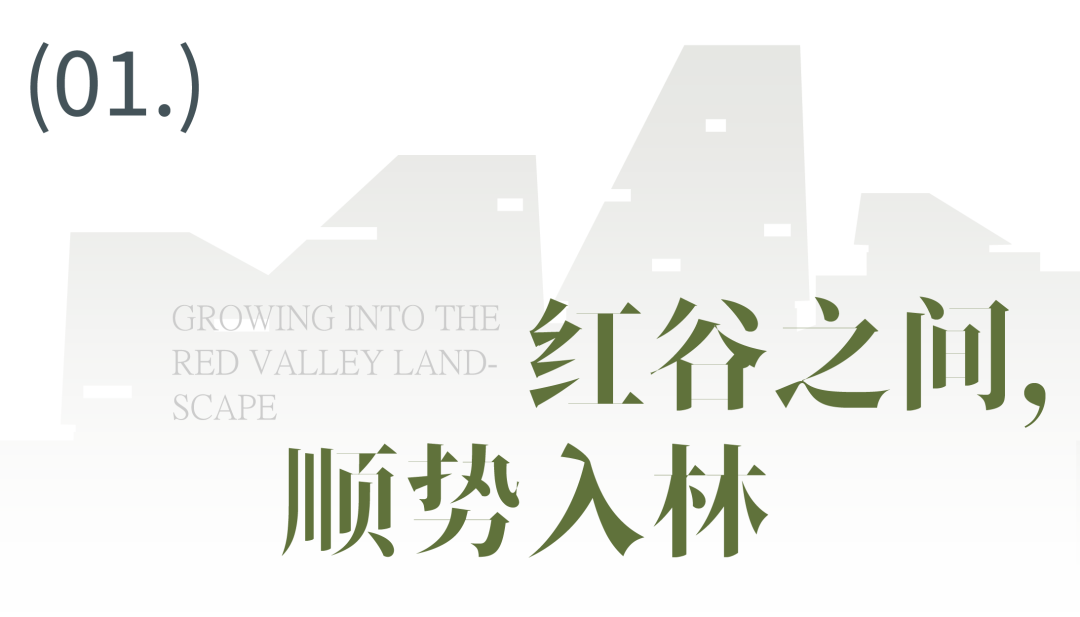 line+新作「红谷屋舍」:于红谷生长,与山林同息