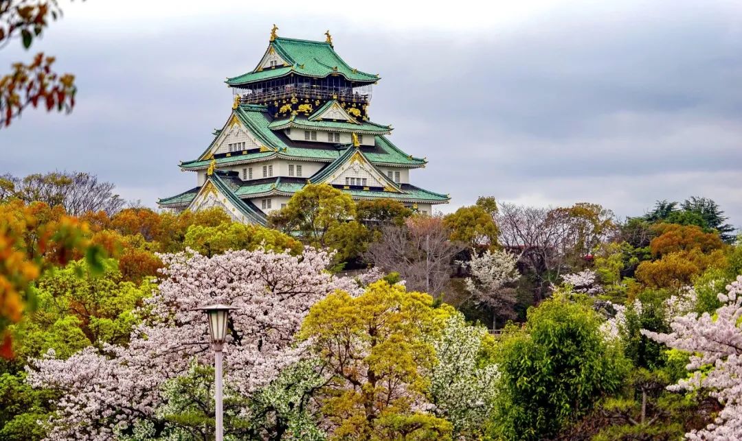 国际景观之声·日本篇 | 8h如何快速get日本景观精髓？