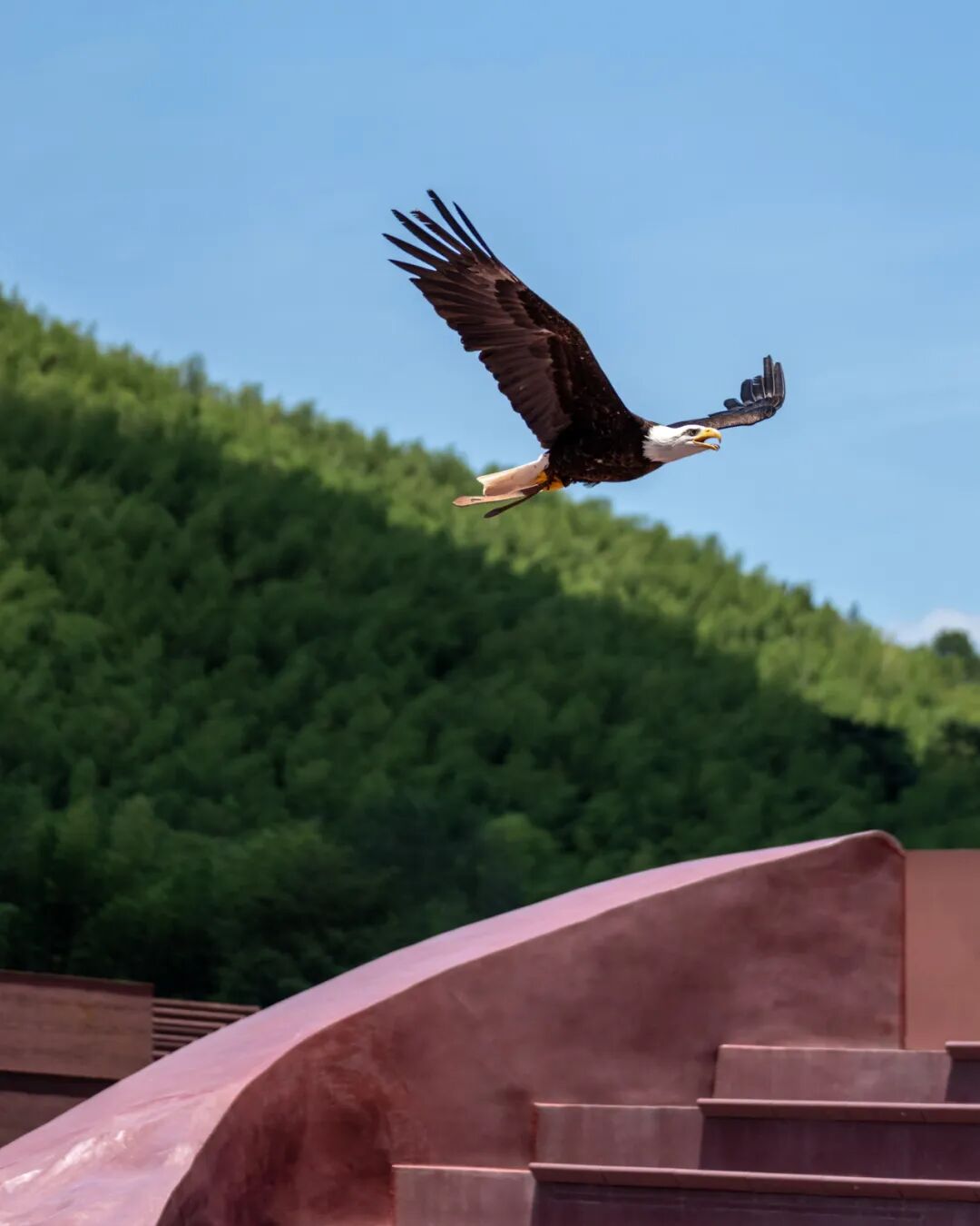 goa作品 | 大地艺术剧场，为飞鸟和人建造