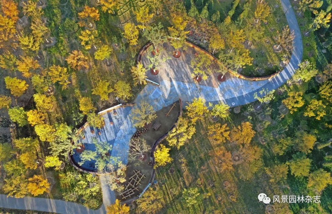 LA访谈 | 园林中的规划“人”——北林地景副院长郭竹梅专访