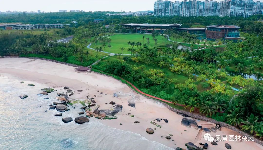 LA作品 | 海南铜鼓岭国际生态旅游区海岸带生态修复