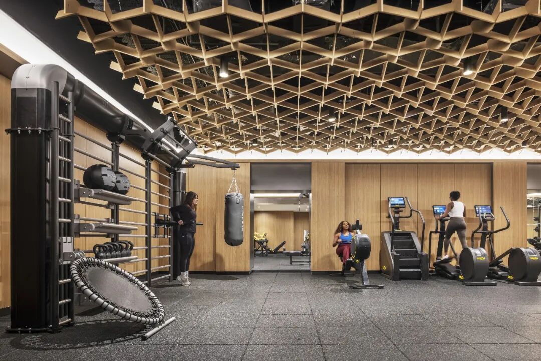 Pearl House: 从老旧办公楼到住宅典范的蜕变