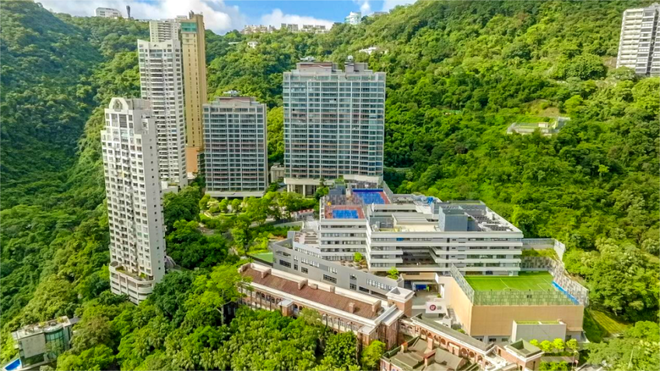 万鹰之神栖居地：波老道21号 海东青品质买家终极选择