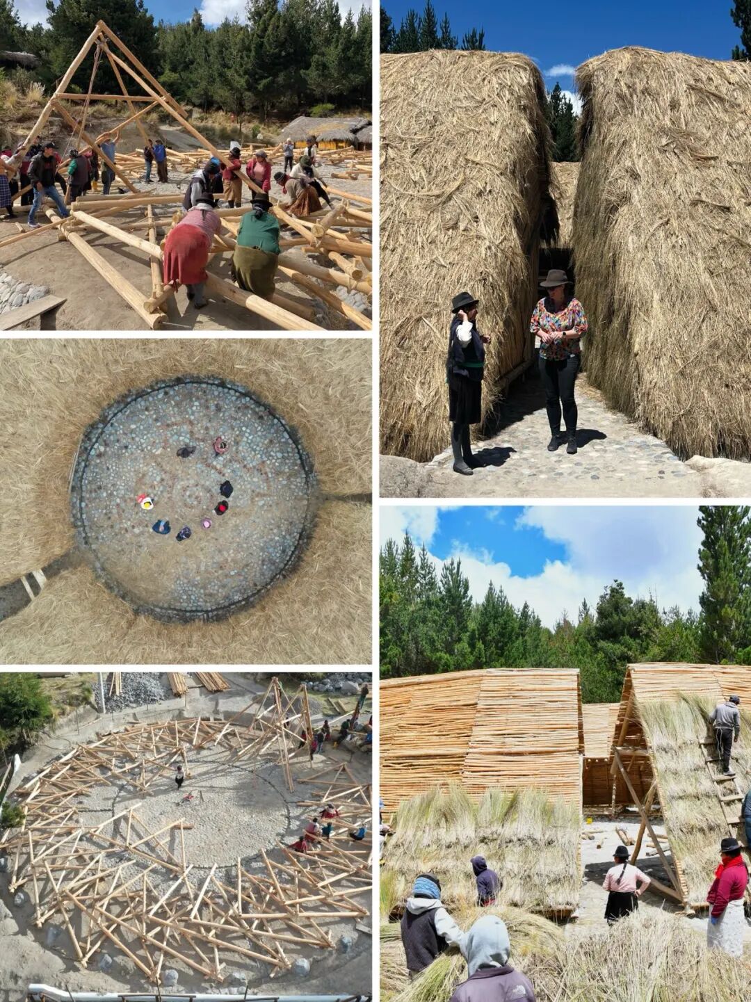 马岩松主编的domus 二月刊，感知自然