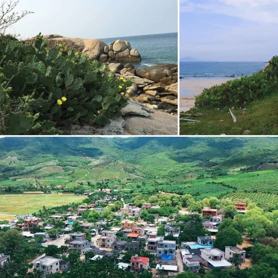 致舍作品 ｜ 隐入山林——阿那亚三亚南花园