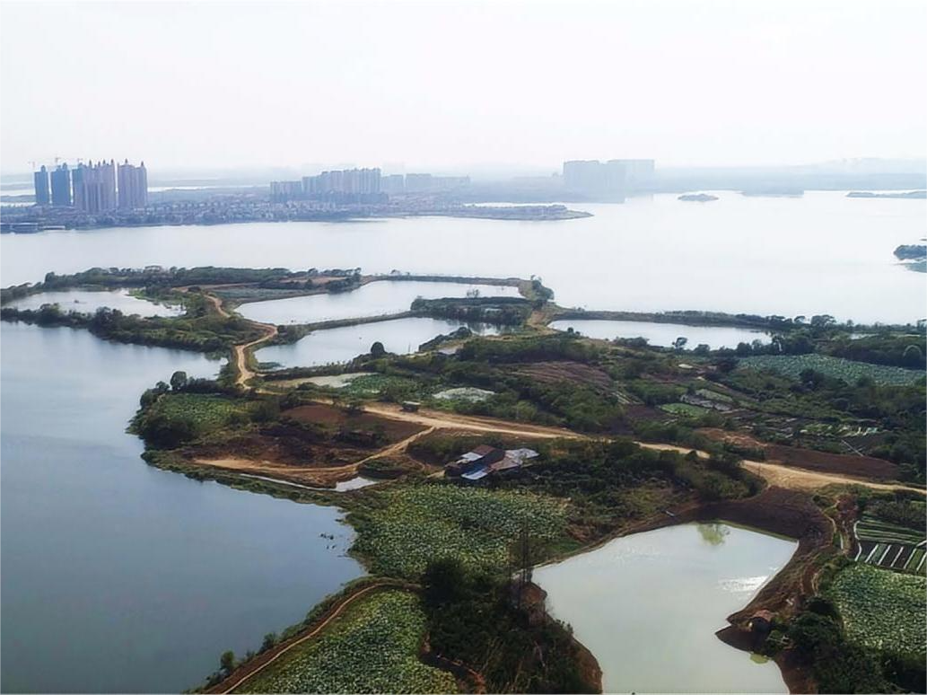 Arcadis凯谛思2024年《可持续发展城市指数》火热出炉，世界各地代表城市可持续发展表现一探究竟