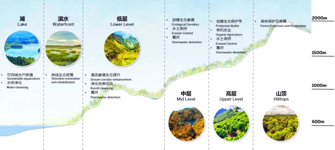 SOM 开放空间设计系列(二):何时?巨变下的多尺度开放空间实践探索
