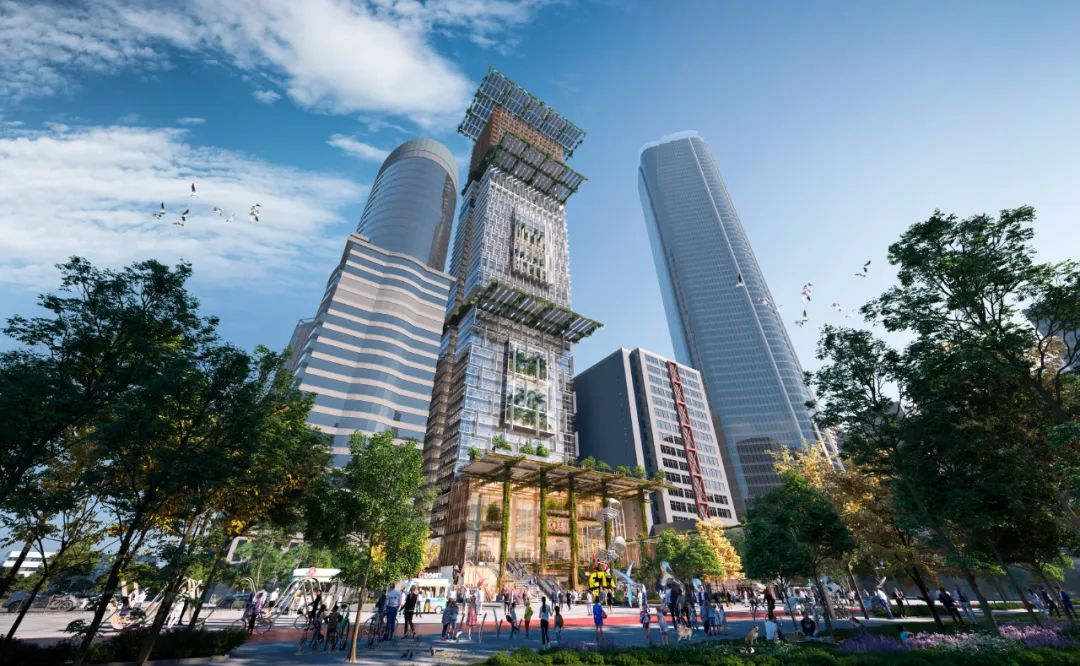 新任命 | 伍兹贝格公布新晋高级理事及理事