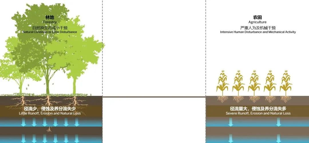 SOM 开放空间设计系列(二):何时?巨变下的多尺度开放空间实践探索
