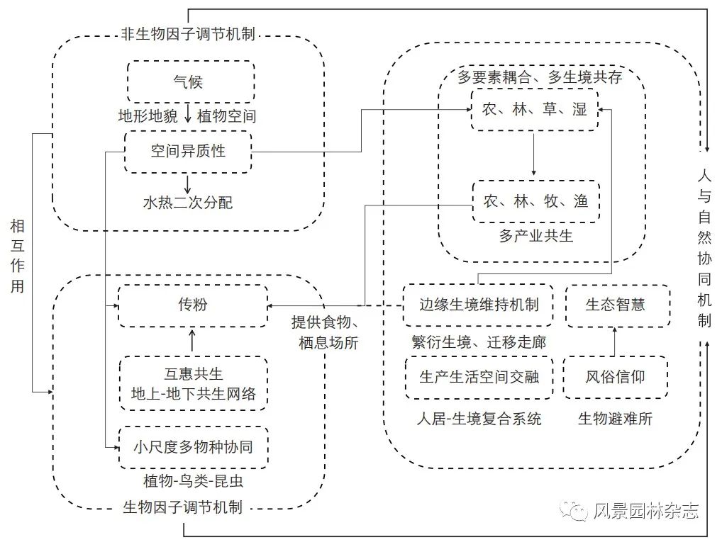 LA专题 | 乡村生物多样性——变化、维持机制及保护策略