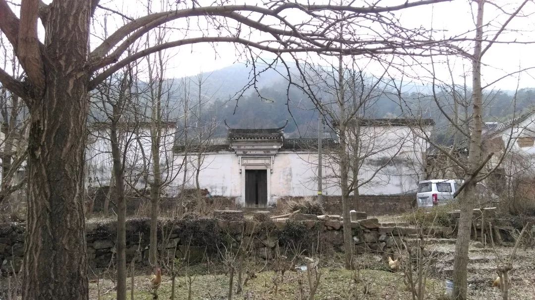 建筑,室内,景观,改造,民宿,乡村营造