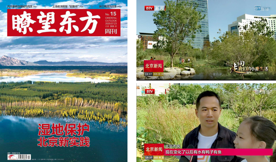 小湿地大生态——北京小微湿地保护修复示范建设项目实践 | LA理事风采