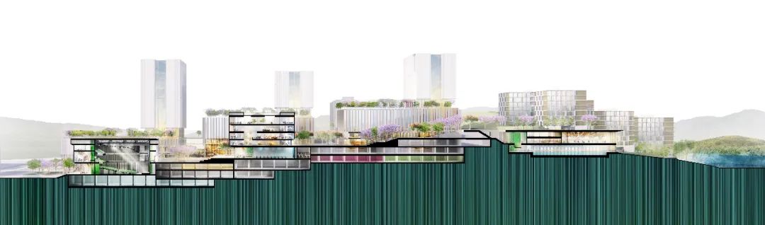 gmp中标 | 香港中文大学(深圳)医学院