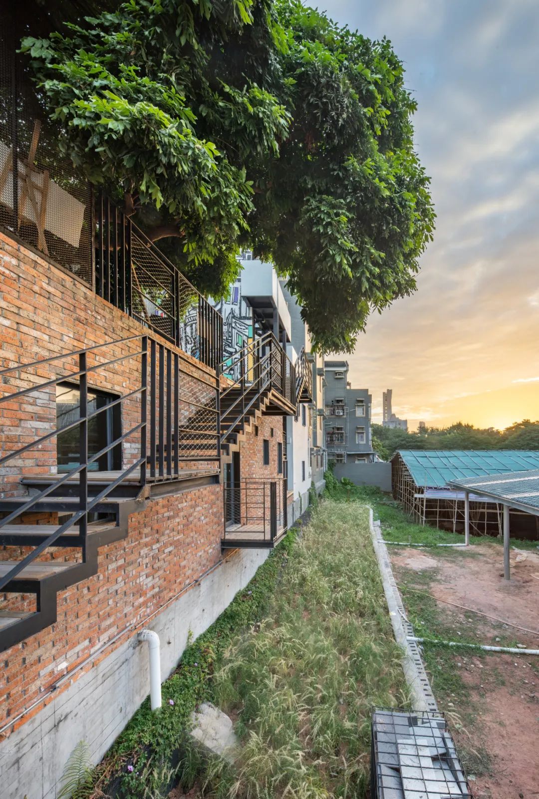 韩晶：尊重&ldquo;野生智慧&rdquo;，向城中村学习