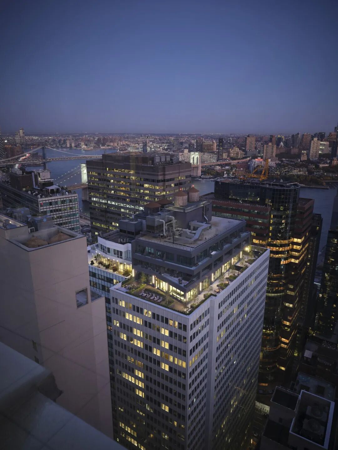 Pearl House: 从老旧办公楼到住宅典范的蜕变