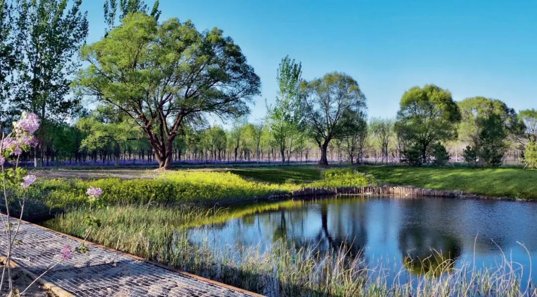 LA专集 | 万木葱翠,十里森境——森林公园规划设计探索