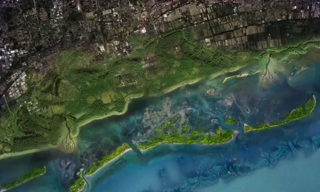 SOM 开放空间设计系列(二):何时?巨变下的多尺度开放空间实践探索