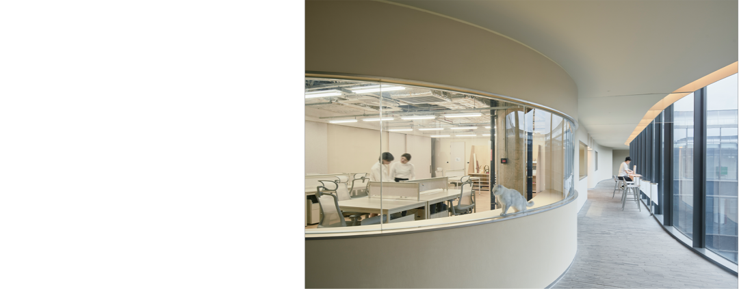 对话say architects：让设计表达更有趣有效
