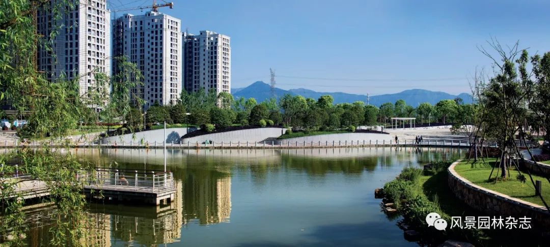 LA作品 | 中轴上的城市绿心——温州城市中央绿轴公园设计