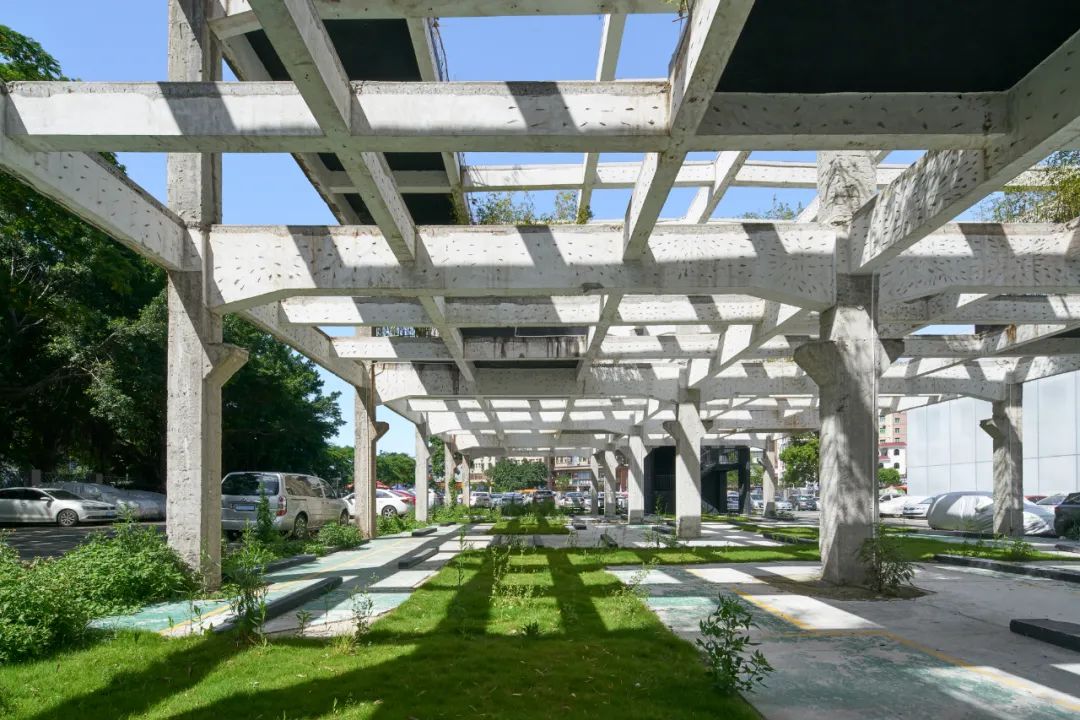 韩晶：尊重&ldquo;野生智慧&rdquo;，向城中村学习