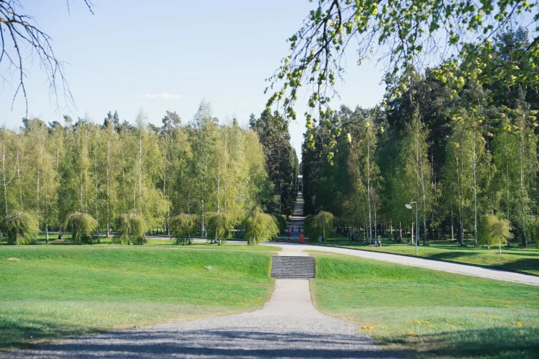 新片发布 | 张望瑞典，回归造物时代