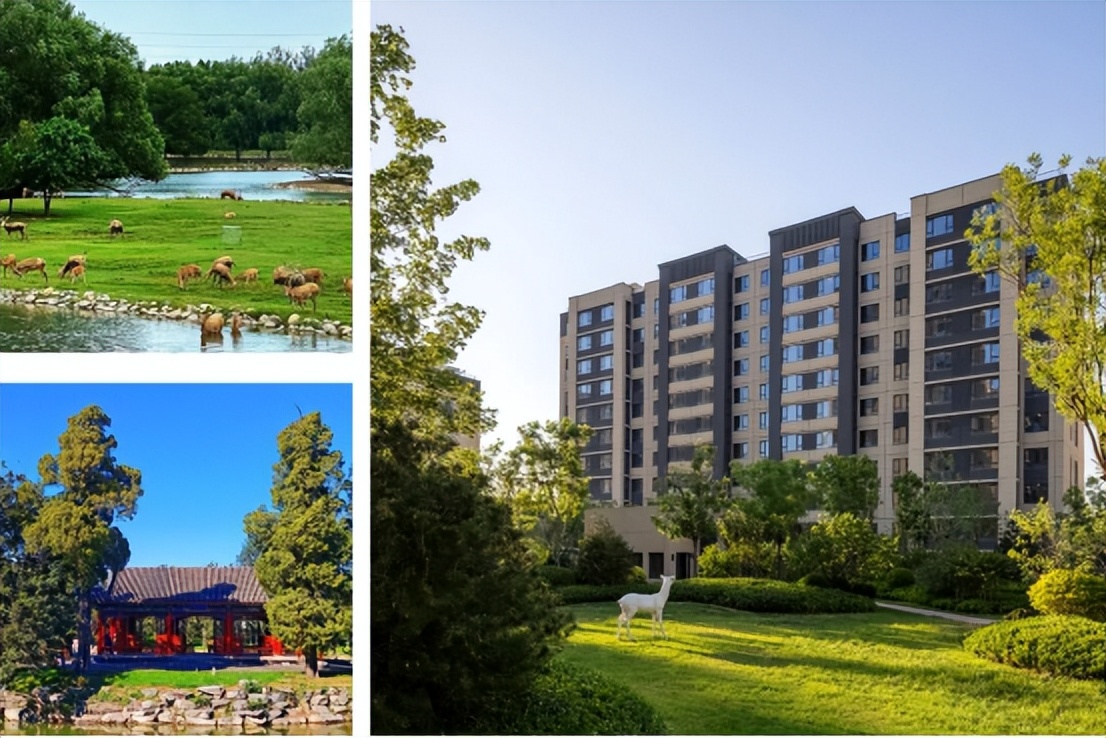 禧悦兴城：以空间为序，以高品质为旨，构建与城市共兴的理想之城