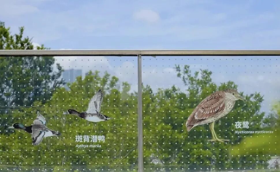 马岩松 &times; 腾讯丨腾云中心：一座面向城市的企业总部