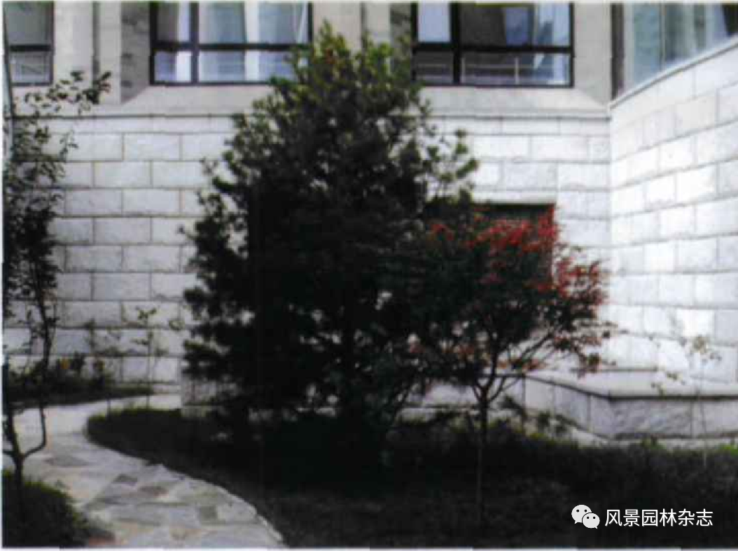 深切缅怀孟兆祯先生 | 孟兆祯 陈云文 李昕 | 继往开来与时俱进——中国工程院庭院园林设计