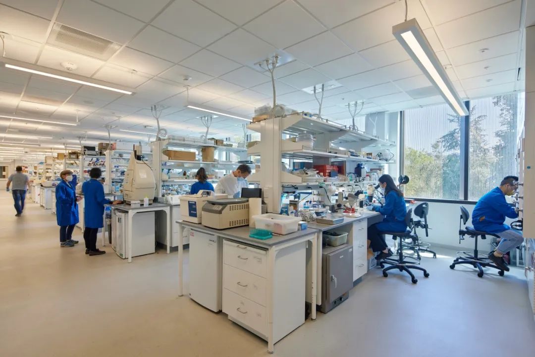 ennead摘得SEFA年度实验室大奖：斯坦福大学Sarafan ChEM-H和吴蔡神经科学研究院