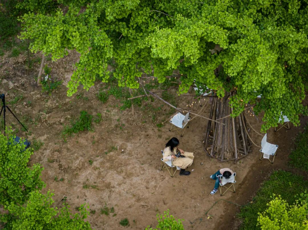 UK Studio Design｜拥抱可持续 / 竹装置&mdash;&mdash;Tree of Life