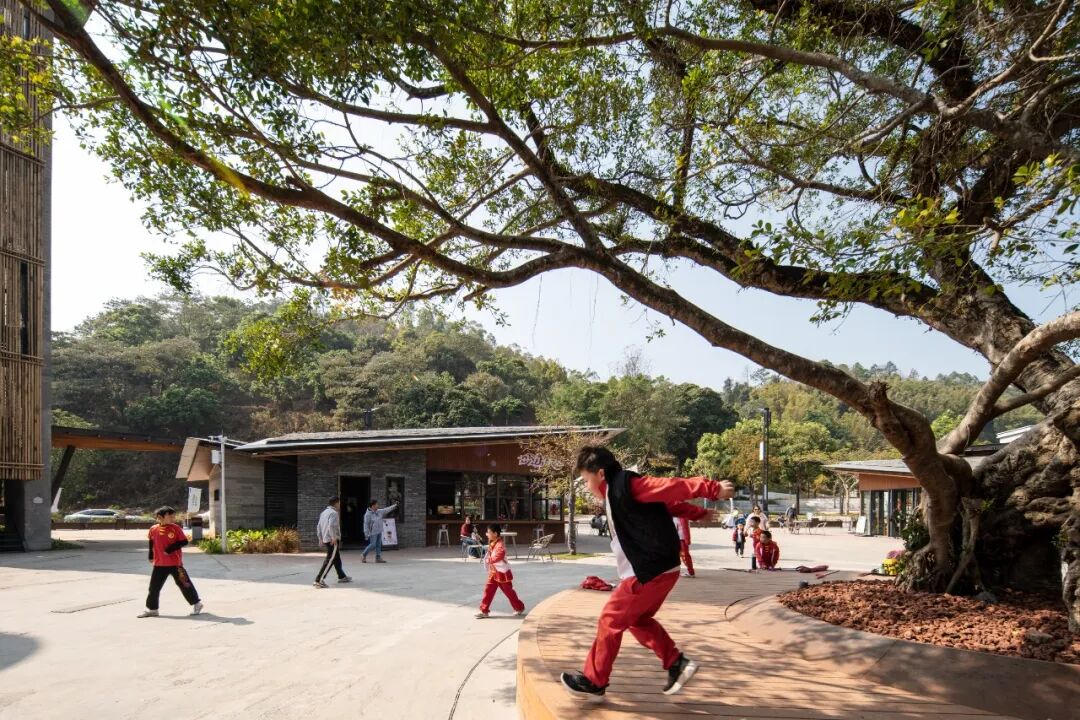 line+新作：从废弃小学到社区客厅，惠州徐田有机更新