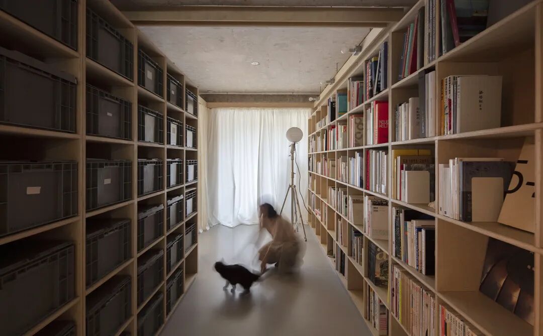 成直:我的社会价值“不参与”