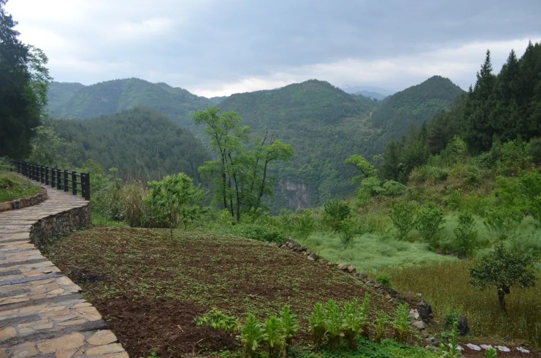 公益重焕乡村新生：巫山小三峡自然教育中心
