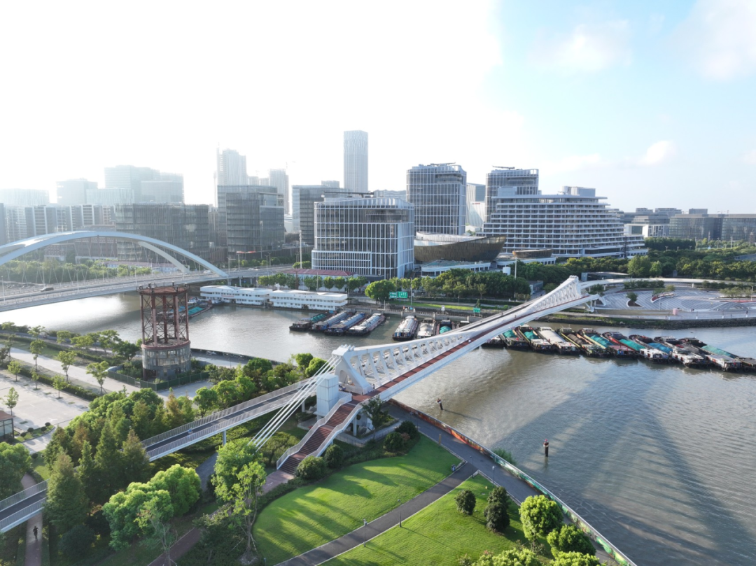 【建言丨对话张准】共生结构，探索全新生态位