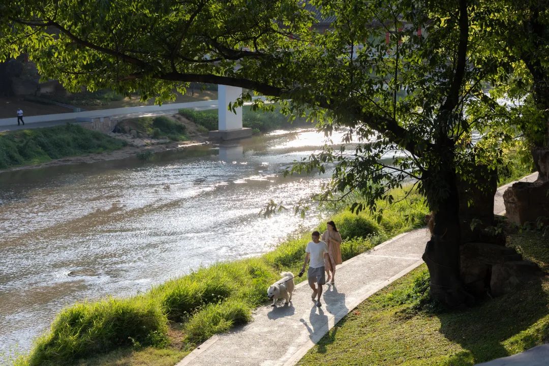 龙园焕活，城水共兴 - 龙岗河干流碧道示范段 龙园水岸 | LA理事风采